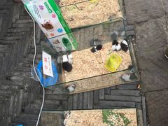 -大小河街