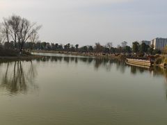 -九科绿洲