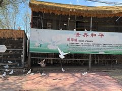 -1982农场