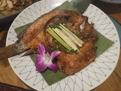 -紫滇源云南生态菜(丹凤街店)