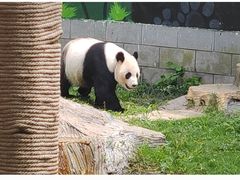 -南昌动物园