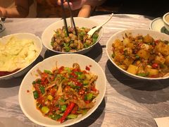 鸭掌筋-壹盏灯(惠农店)