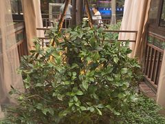 -大融厨·鸡毛店·川菜(果壳里东安湖店)
