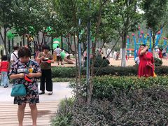 -合肥滨湖国家森林公园