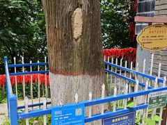 -终南山南五台景区