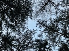 -八大关景区