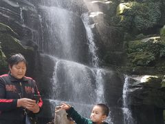 -中国大熊猫保护研究中心雅安碧峰峡基地