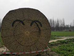 -桤木河湿地公园