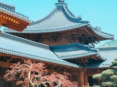 -溪口-滕头旅游景区
