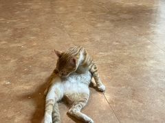 -逃脱反斗城沉浸剧情密室(北京路店)