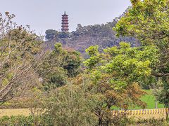 -南沙蒲洲花园