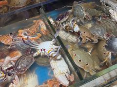 -加餐海鲜自助(宝龙一城店)