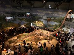 -自贡恐龙博物馆