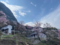 -九皇山景区