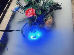 -红蜡烛-养生粥-津鲁菜(中山路店)