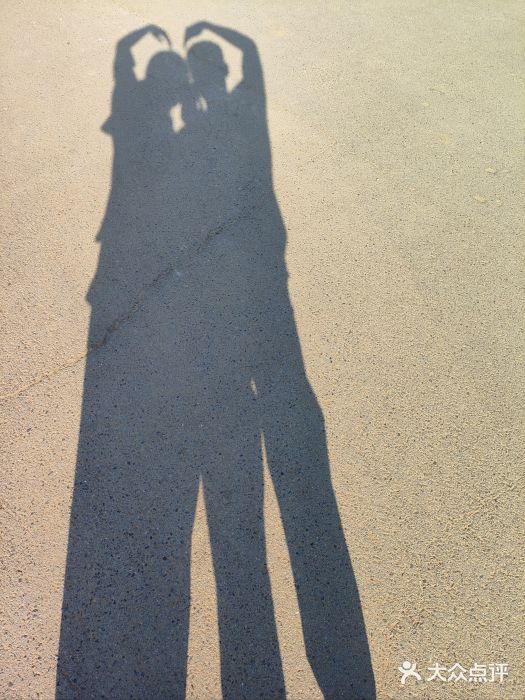 沈阳植物园图片