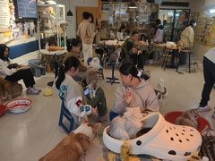 -平行世界·猫咖(首经贸店)