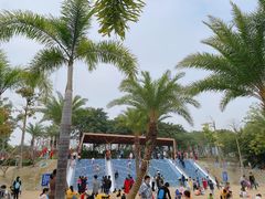 -宝安西湾红树林湿地公园