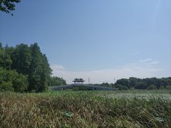 -东湖落雁景区