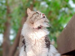 -旧雨咖啡·CoffeeFORU(黄村奥体店)