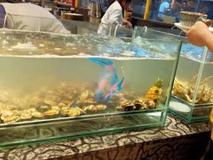 水产区-芭菲盛宴·环球美食(解放碑英利国际店)