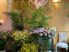 -蝶舍·MAISON PAPILLON