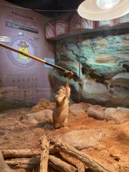 -Zoolung Zoolung动物主题公园(海信广场店)