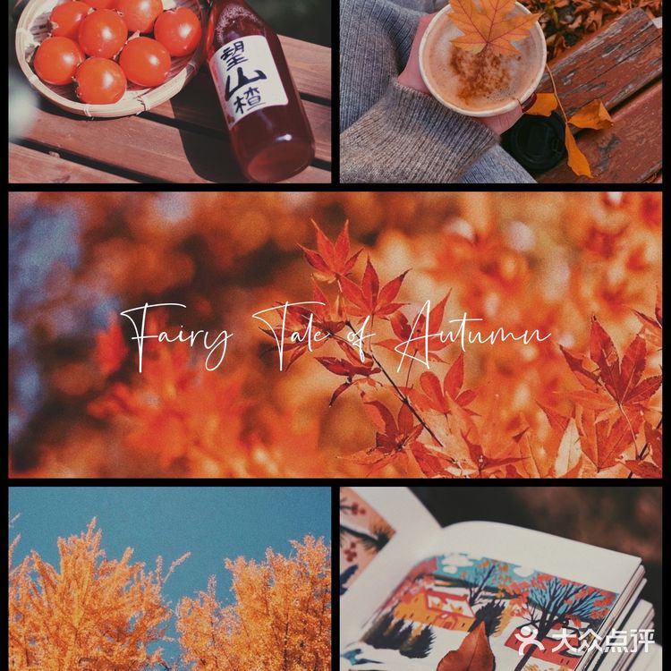 秋日碎片🍂日系暖调电影感滤镜|摄影调色