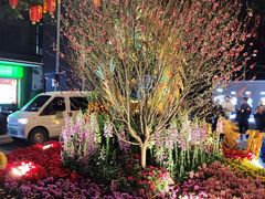 -越秀西湖花市(广州城市广场花卉店)