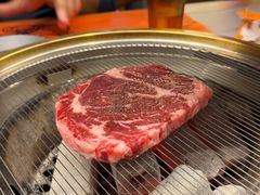 -杨小佳·齐齐哈尔烤肉·烤串(广州店)