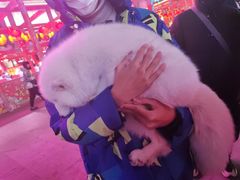 -大悦城(沈阳中街店)