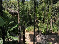 -西安关中民俗艺术博物院