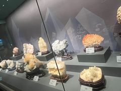 -湖南省地质博物馆