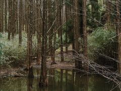 -山王坪喀斯特国家生态公园