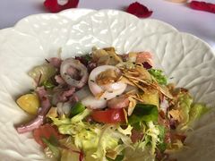 -蝶舍·MAISON PAPILLON