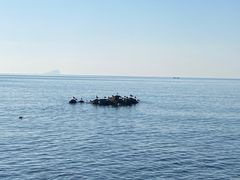 -银沙滩浴场