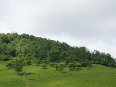 -关山草原