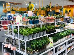 -KKV(重庆光环购物公园店)