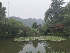 -中国茶叶博物馆(双峰馆区)