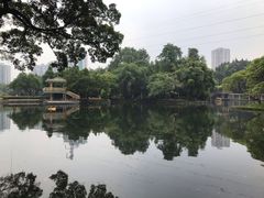 -晓港公园