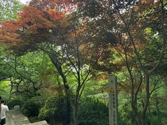 -青岛崂山太清宫