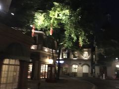 -中旅阿那亚九龙湖·公主酒店
