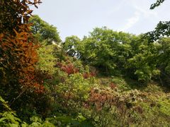 -昭山风景名胜区