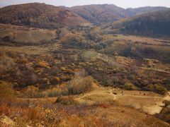 -塞罕坝国家级自然保护区