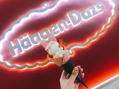 春日捧花丹麦筒冰淇淋-哈根达斯(虹口店)