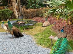 -J Create城市露营咖啡·简餐·宠物(上海动物园店)