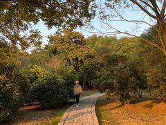 -石湖景区