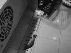 -爷爷的土钵菜(街道口店)