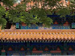 -北京国子监胡同