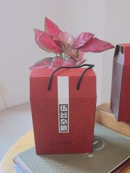 -归位瑜伽＆普拉提馆